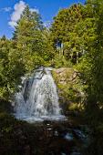 05_Cascata tra i pini